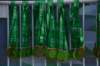 dsc_5995_small.jpg