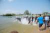 dsc_6643_small.jpg