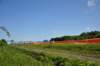 dsc_0032_small.jpg