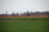 dsc_3658_small.jpg