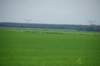 dsc_8598_small.jpg