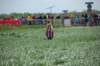 dsc_9199_small.jpg
