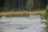 dsc_6280_small.jpg