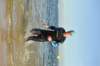 abc_5247_small.jpg