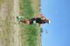 abc_5867_small.jpg