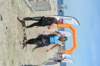 abc_6187_small.jpg