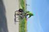 abc_6255_small.jpg