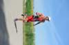 abc_6258_small.jpg