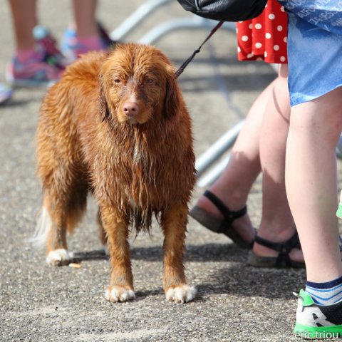 triathlonalmereduineersteentweededivisie281.jpg