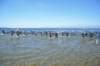 dsc_7948_small.jpg