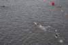 dsc03115_small.jpg