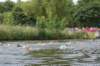 dsc_4168_small.jpg