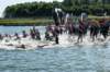 dsc_6593_small.jpg