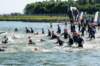dsc_6601_small.jpg