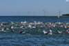 dsc_0021_small.jpg