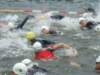 triathlon031_small.jpg