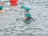 triathlon034_small.jpg